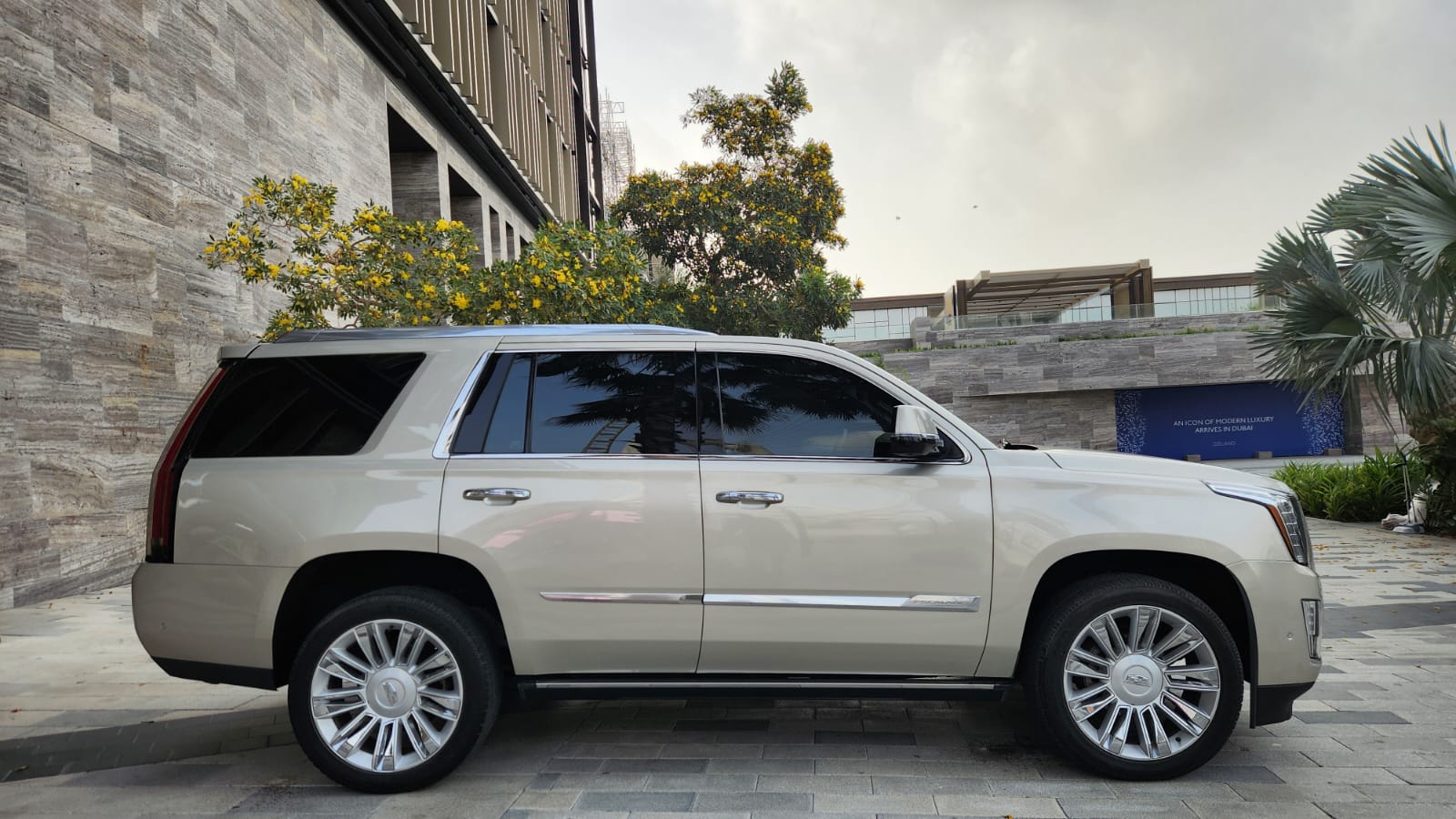 Cadillac Escalade Platinum VIP