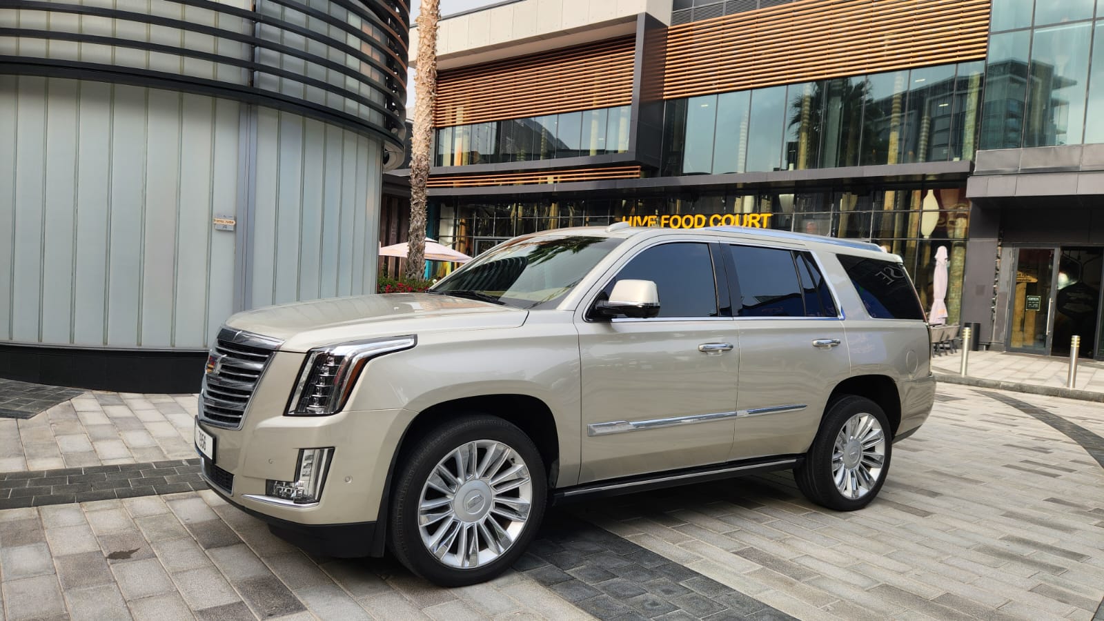 Cadillac Escalade Platinum VIP