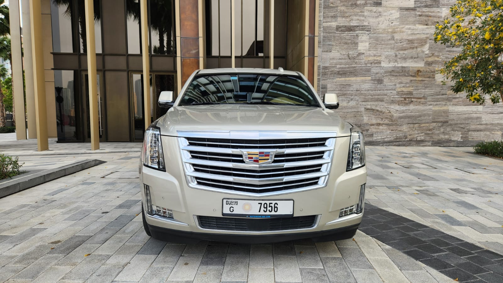 Cadillac Escalade Platinum VIP