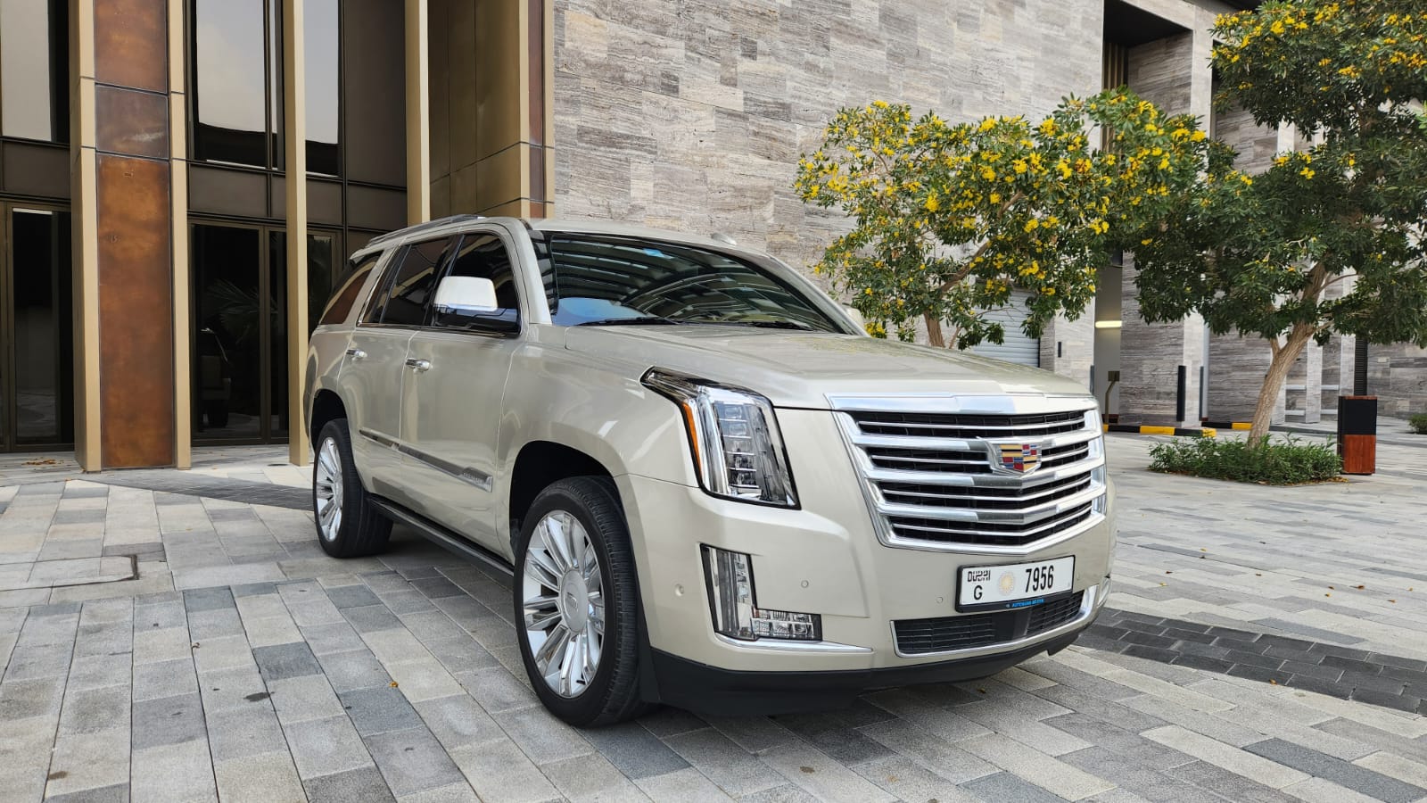 Cadillac Escalade Platinum VIP