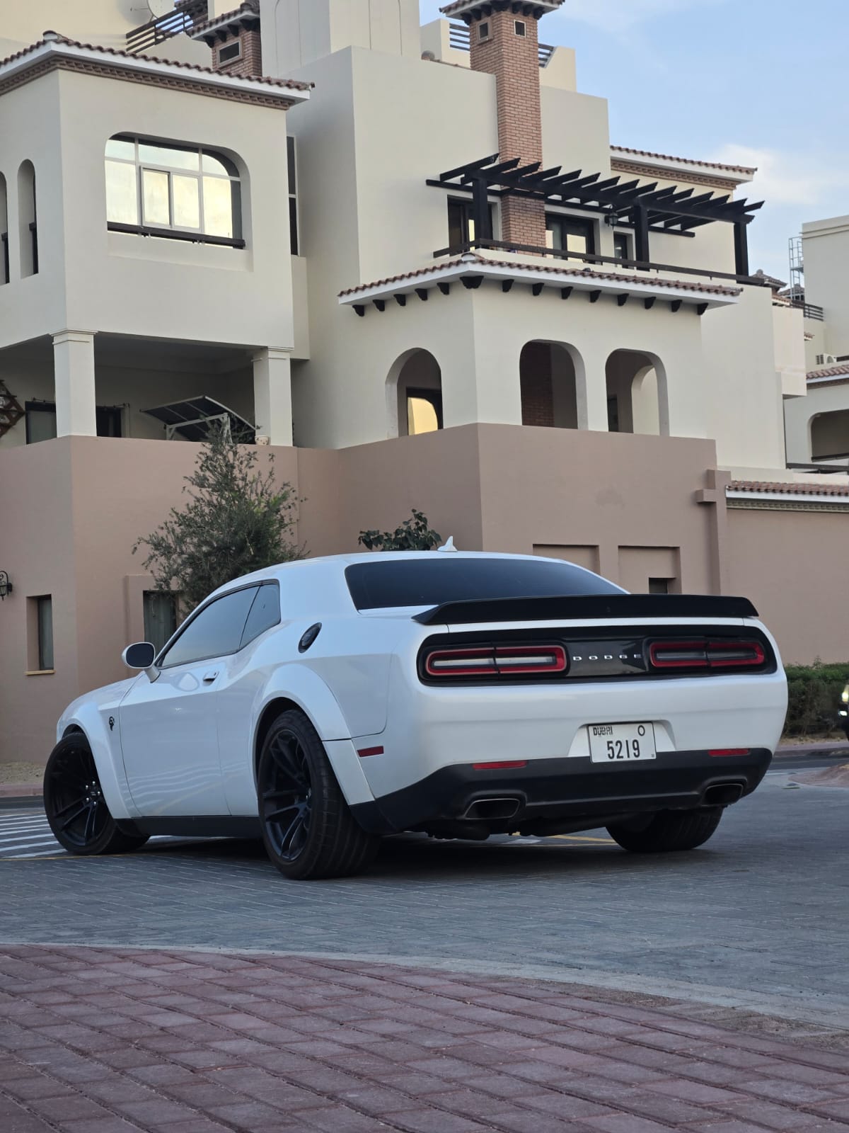 Dodge Challanger SRT8 Hellcat Manual
