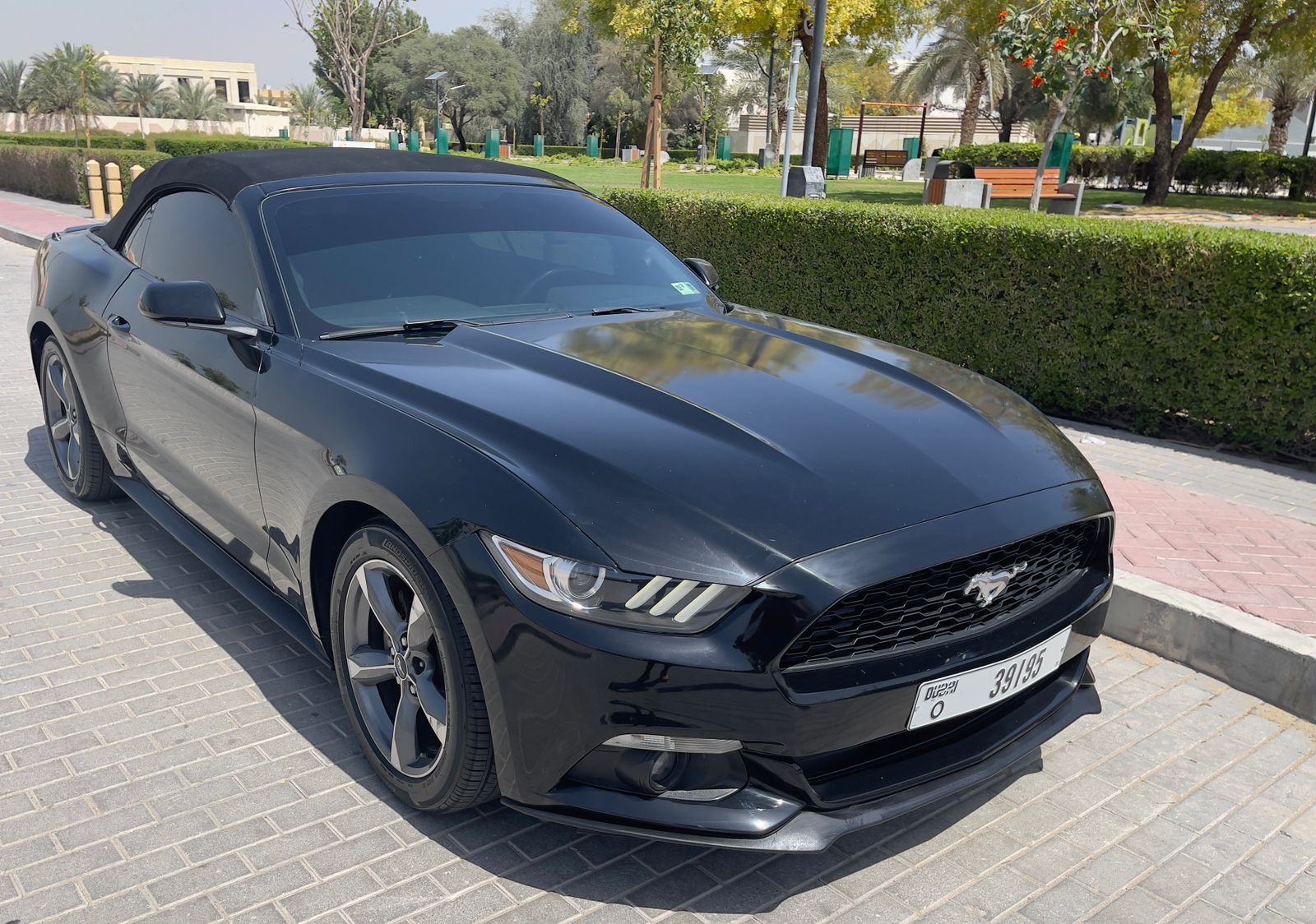 Ford Mustang Cabrio 2015
