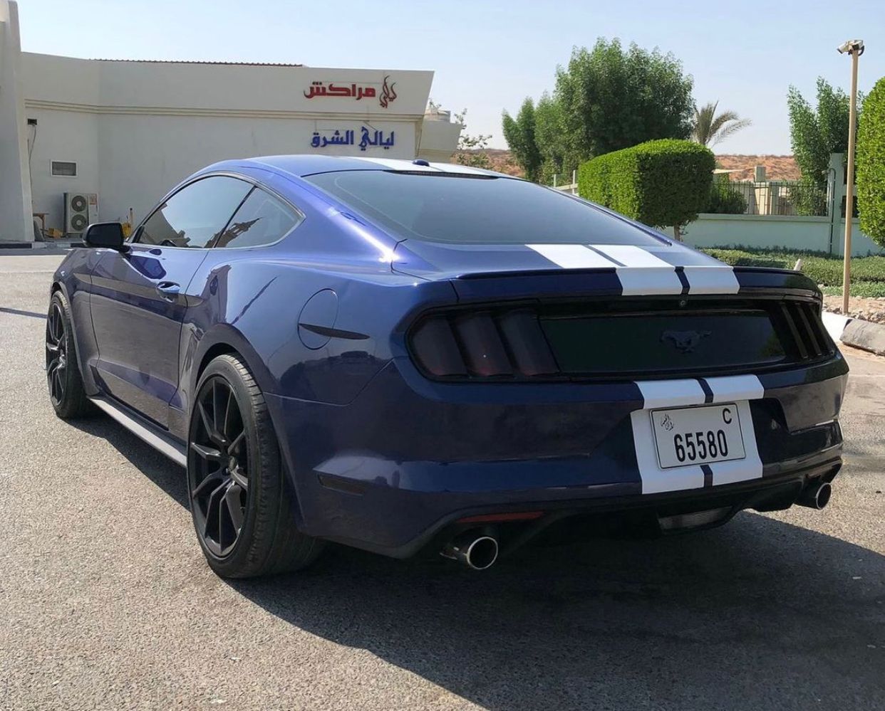 Ford Mustang VI 2.3 Ecoboost Shelby