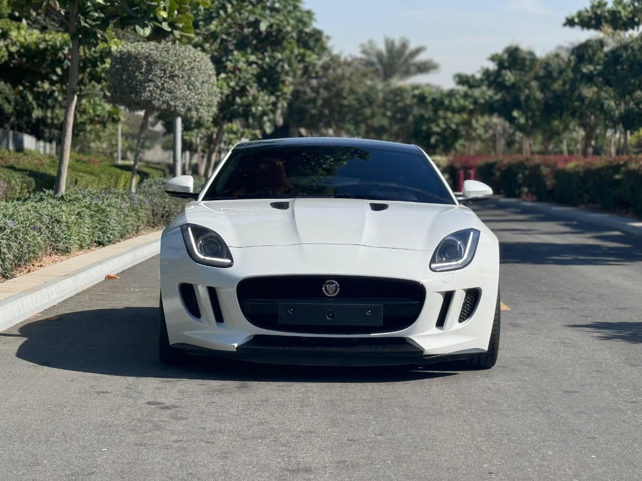 Jaguar F Type 3.0 V6
