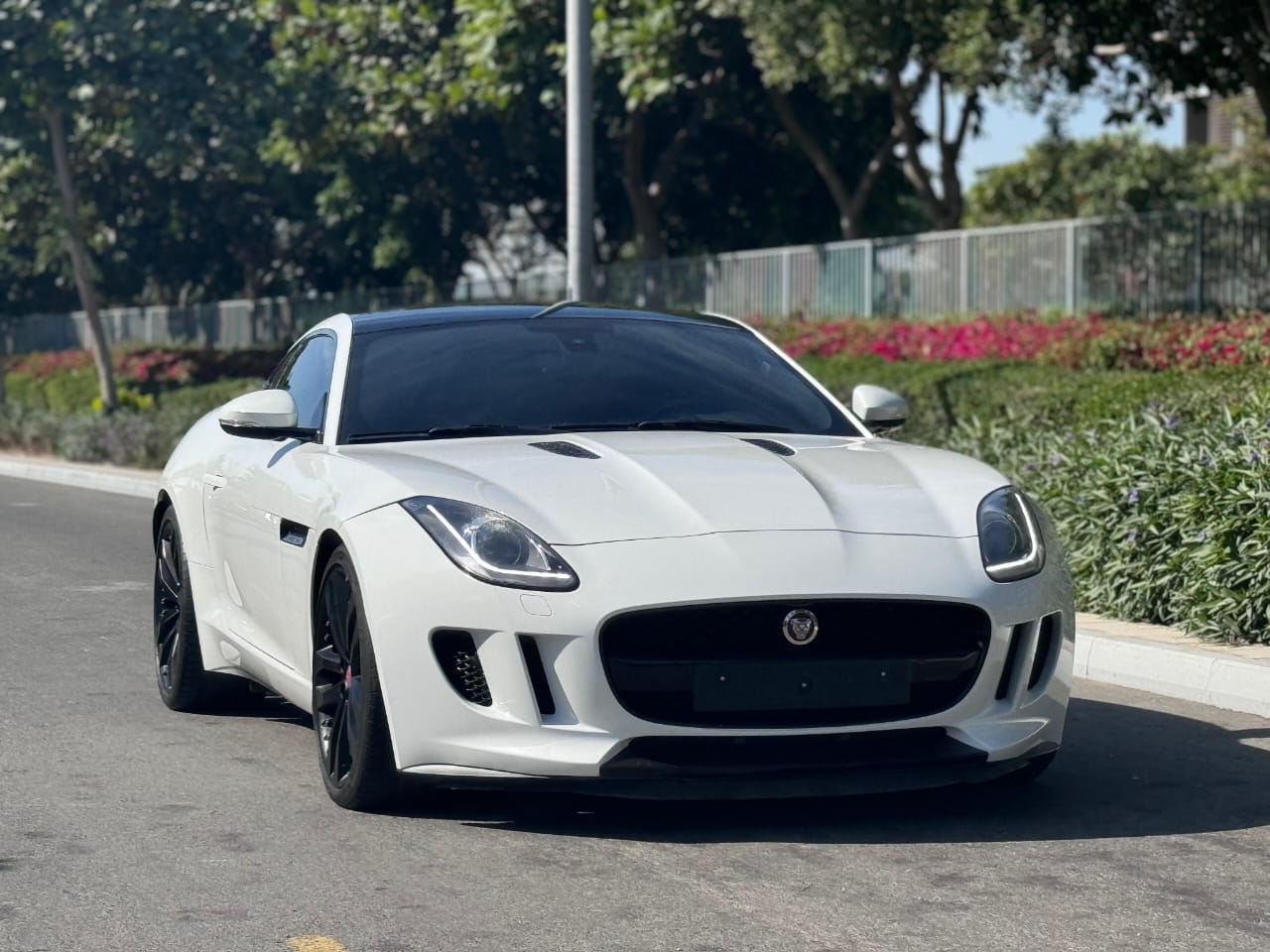 Jaguar F Type 3.0 V6