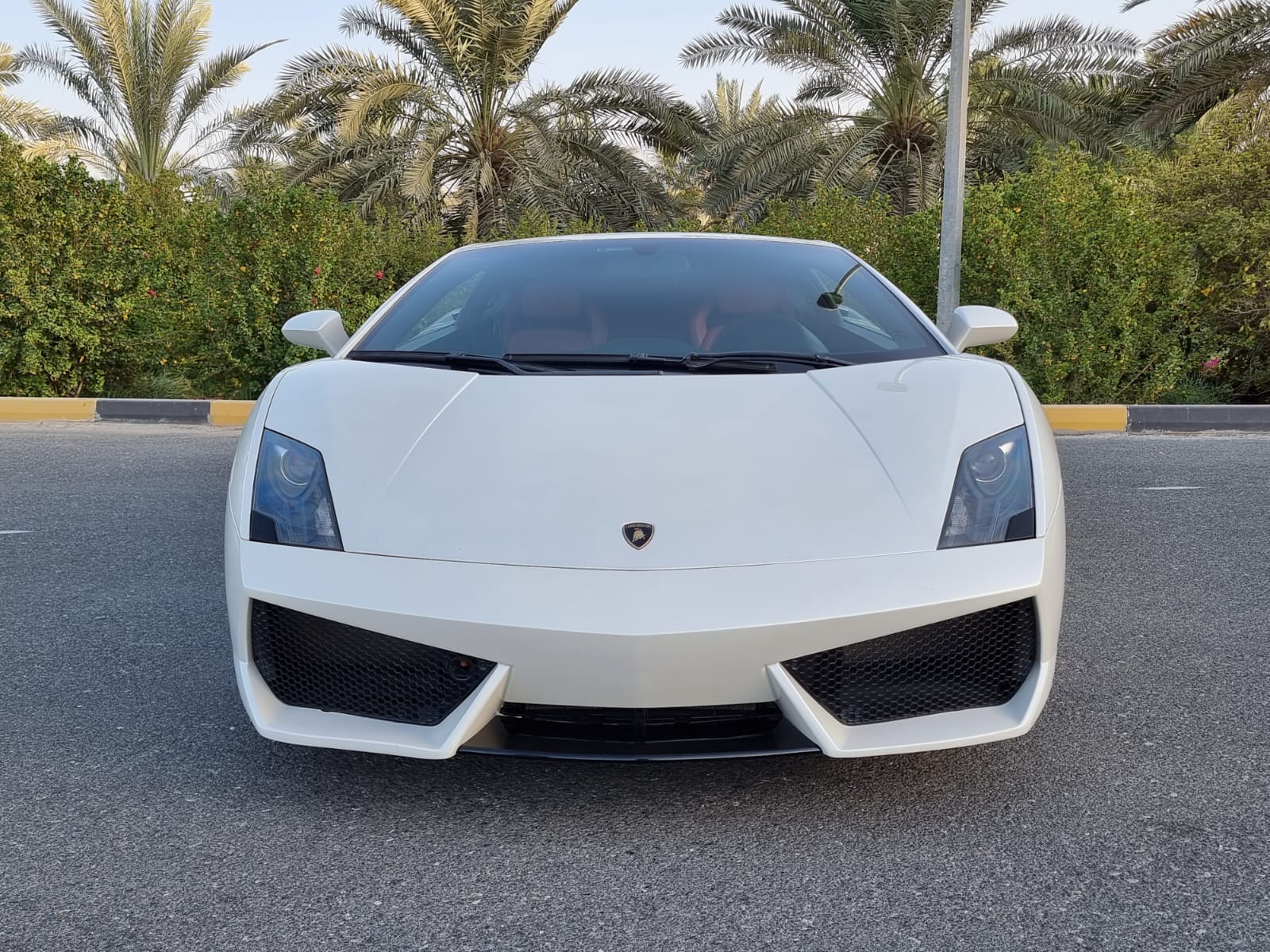 Lamborghini Gallardo White